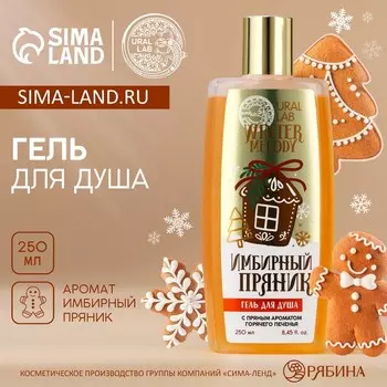 Новогодний гель для душа, 250 мл, аромат имбирного пряника, Новый Год