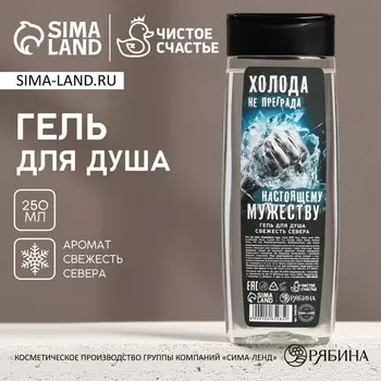 Гель для душа «Холода - не преграда», 250 мл, аромат свежести, Чистое счастье
