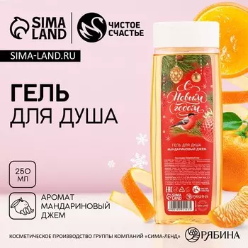 Гель для душа «С Новым Годом», 250 мл, аромат мандаринового джема, Чистое счастье