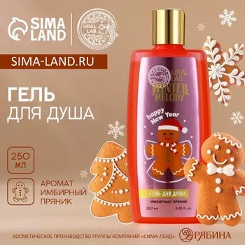 Гель для душа, 250 мл, аромат имбирного пряника, URAL LAB