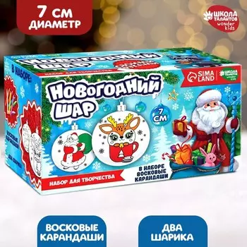 Ёлочные шары под раскраску «Новый год! Праздник в каждый дом», 2 шт, d = 7 см, набор для творчества