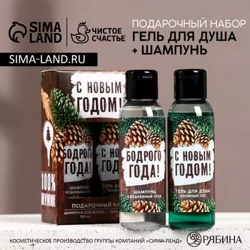 Подарочный набор новогодний мужской «С праздником»: гель для душа и шампунь для волос, 2100 мл, Чистое счастье