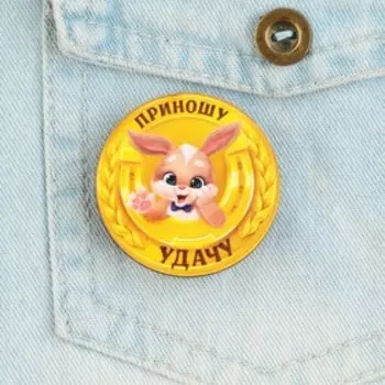 Новогодний значок «Талисман на удачу», 4,2 х 4,2 см