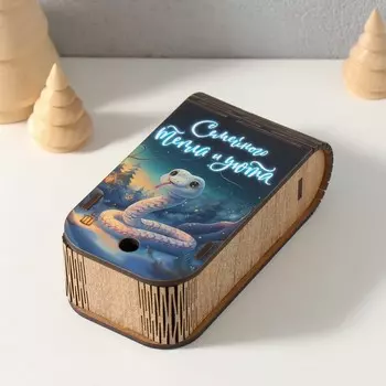Новогодняя деревянная шкатулка-книга «Змея. Семейного тепла» 137х4 см