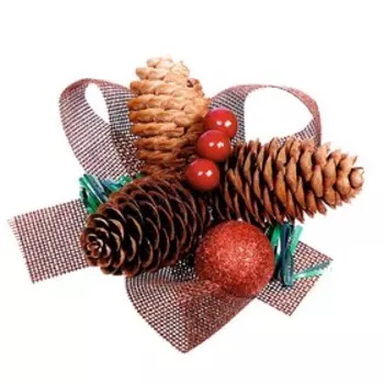 Композиция «Шишки, ягодки», МИКС