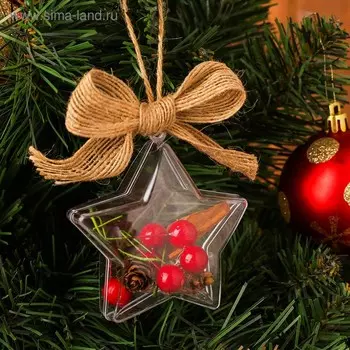 Новогодняя подвеска с природным декором «Звезда»