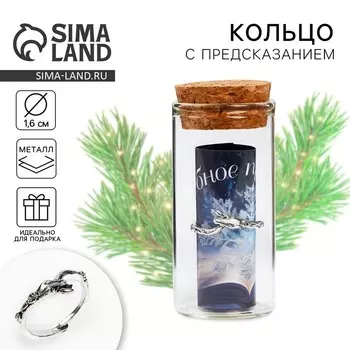 Новый год. Кольцо с предсказанием новогоднее «Мороз», на Новый год, 8 х 3 см