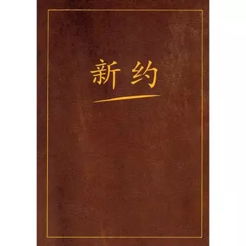 Новый завет на китайском языке