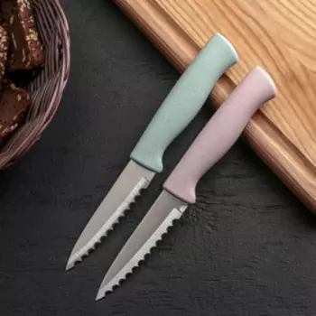 Нож для чистки рыбы Доляна «Ринго», зубчатое лезвие 9 см, цвет МИКС