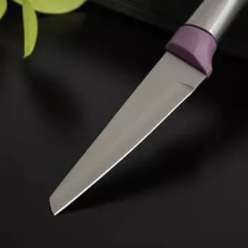 Нож Доляна Cloud, овощной, лезвие 8 см, цвет МИКС