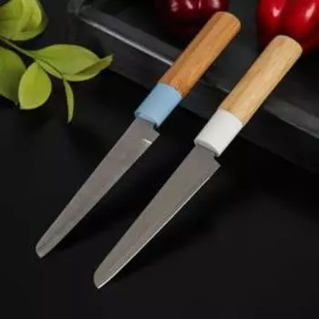 Нож Доляна Heaven, универсальный, лезвие 12 см, цвет МИКС