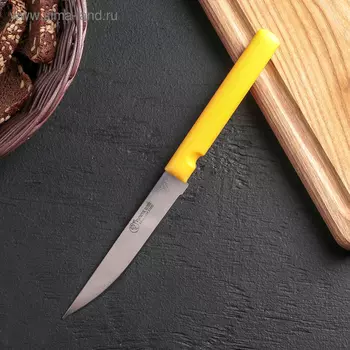 Нож «Эконом», лезвие 11,5 см, цвет МИКС