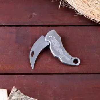 Нож-керамбит «Дракон», 14.5 см, клинок 65 мм/2 мм, серебристый