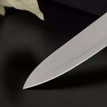 Нож кухонный Доляна «Раймонд», лезвие 17 см, цвет МИКС