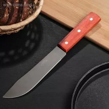 Нож для мяса и стейков Доляна «Мачете», лезвие 17.5 см