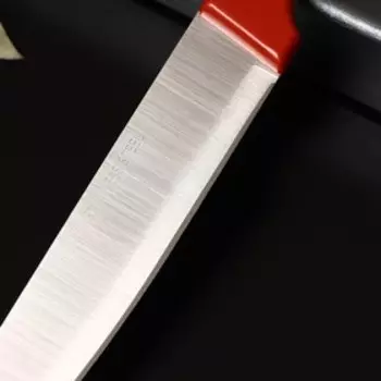 Нож кухонный Доляна «Триколор», лезвие 21 см