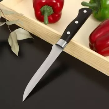 Нож обвалочный Доляна «Кронос», лезвие 14 см, цвет чёрный