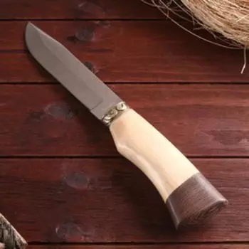 Нож охотничий "Фроди" 27,8см, клинок 145мм/2,8мм дерево, бежевый