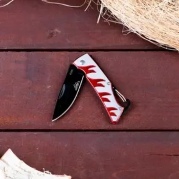 Нож перочинный «Огненный», 16.5 см, лезвие 7 см, крепление-петля