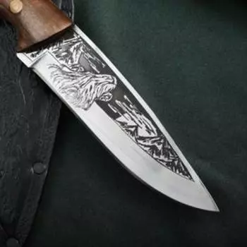 Нож разделочный Сафари-1, нержавающая сталь 65х13, 26,5х1,5 см, длина клинка 14 см