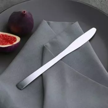 Нож столовый из нержавеющей стали Доляна «Нордик», длина 20,2 см, толщина 2 мм, цвет серебряный