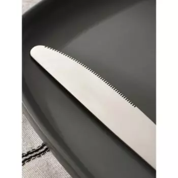 Нож столовый из нержавеющей стали «Моника», длина 23,5 см, цвет серебряный