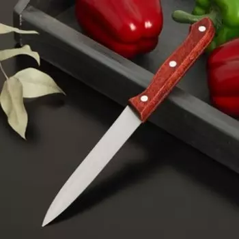 Нож кухонный Доляна Ecology, лезвие 12,5 см, цвет коричневый