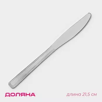 Нож столовый Доляна, длина 21.5 см, толщина 2 мм, нержавеющая сталь, серебристый