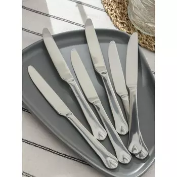 Набор ножей столовых из нержавеющей стали Доляна «Капля», длина 23 см, 6 шт., серебристый