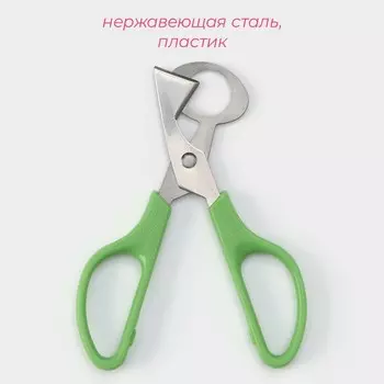 Ножницы для перепелиных яиц Доляна, 146 см, цвет зелёный