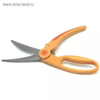 Ножницы для птицы Atlantis, цвет оранжевый