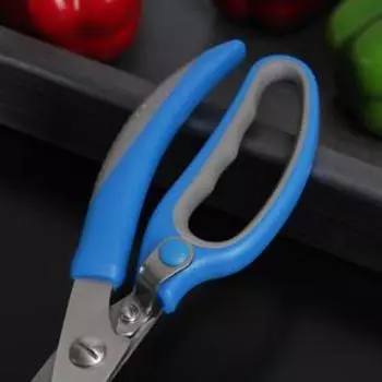 Ножницы для птицы Доляна «Барон», цвет МИКС