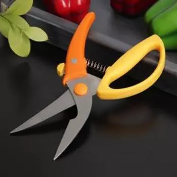 Ножницы для птицы Доляна «Салем», цвет МИКС