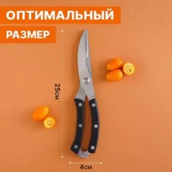Ножницы для разделки птицы Доляна «Профи», 2541.5 см, чёрные