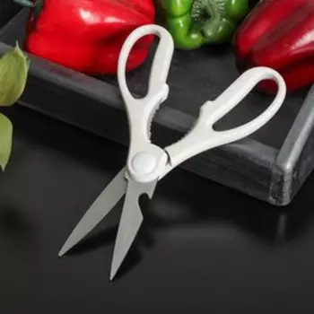 Ножницы кухонные Доляна «Ринго», цвет белый