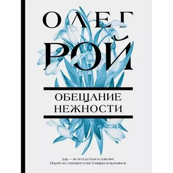 Обещание нежности. Рой О.