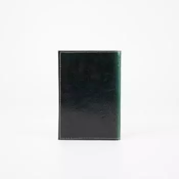 Обложка для автодокументов, цвет чёрный, «Мост»