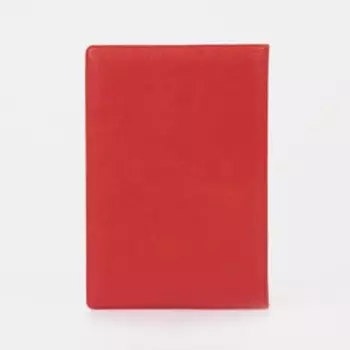 Обложка для автодокументов, цвет красный