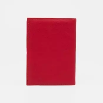 Обложка для автодокументов, цвет красный