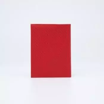 Обложка для автодокументов, цвет красный
