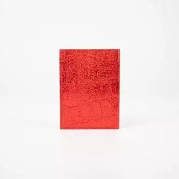 Обложка для автодокументов, цвет красный