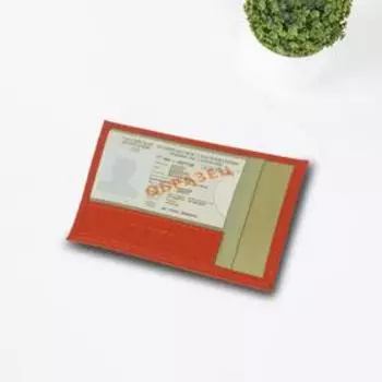 Обложка для автодокументов, цвет красный