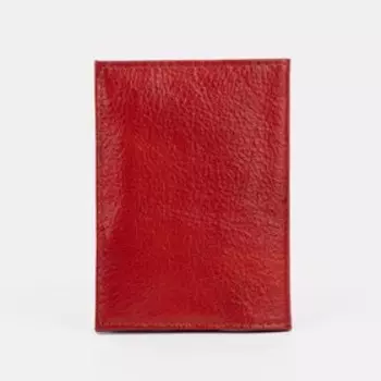 Обложка для автодокументов, цвет красный