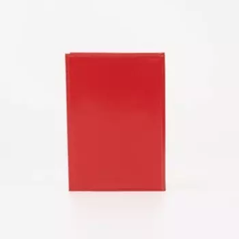 Обложка для автодокументов TEXTURA, цвет красный