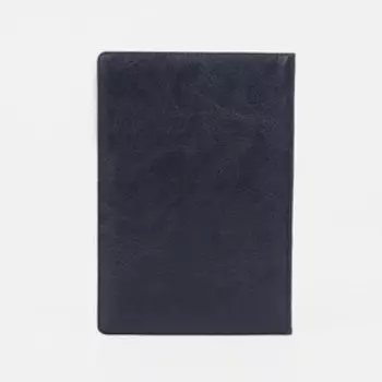 Обложка для автодокументов, с тиснением, синяя