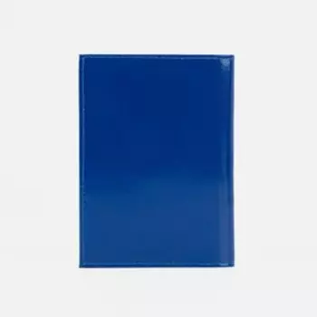 Обложка для автодокументов, цвет синий