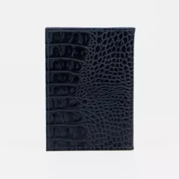 Обложка для автодокументов, цвет синий