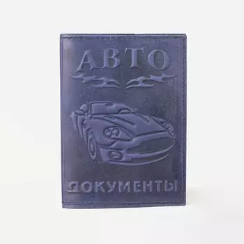 Обложка для автодокументов, цвет синий