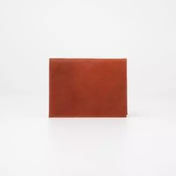 Обложка для автодокументов, цвет рыжий