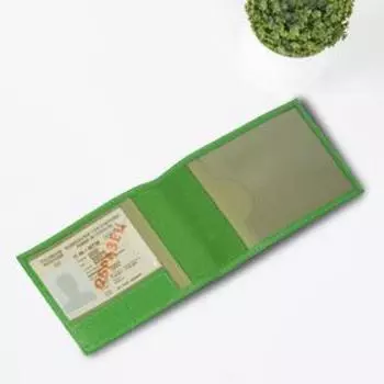 Обложка для автодокументов, цвет зелёный